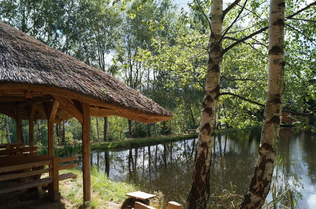 Апартаменты Misiowka Шклярска-Поремба Экстерьер фото